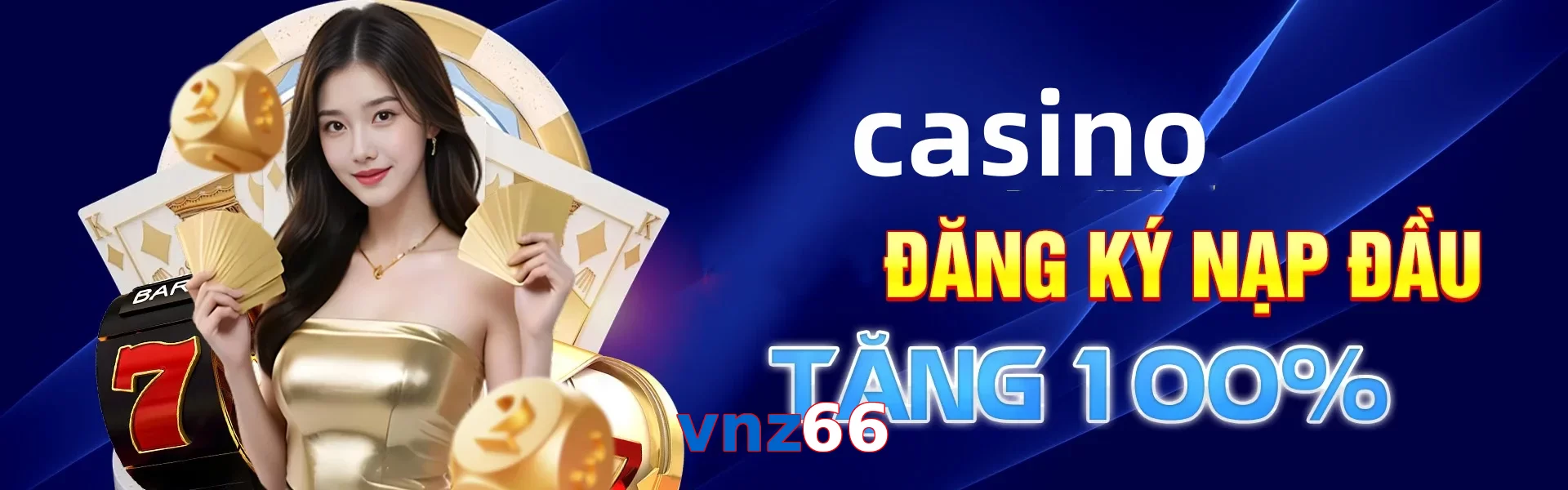vnz66
