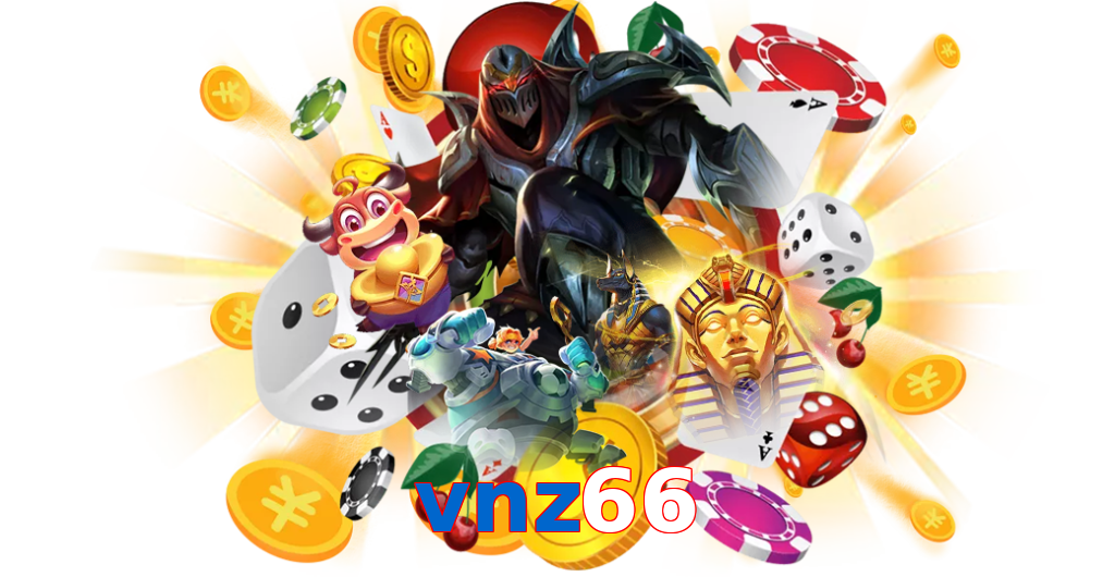vnz66