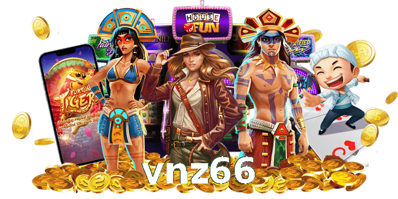 vnz66