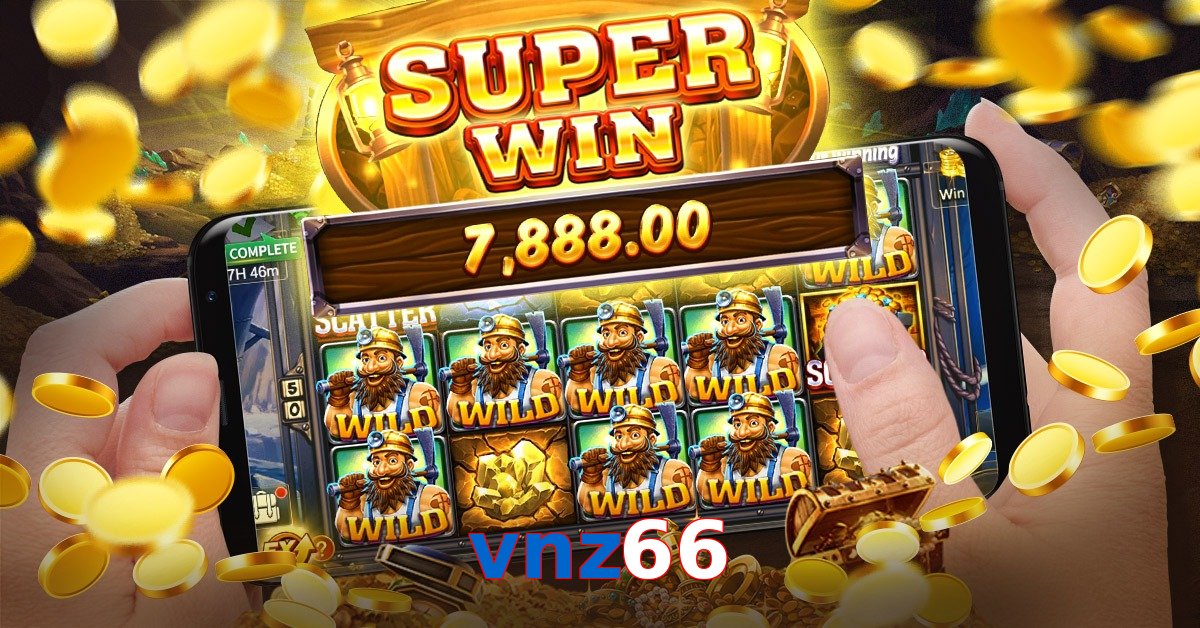 vnz66