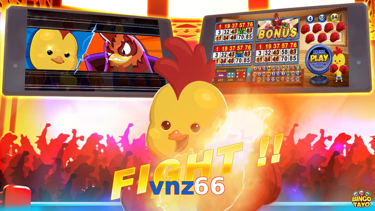 vnz66