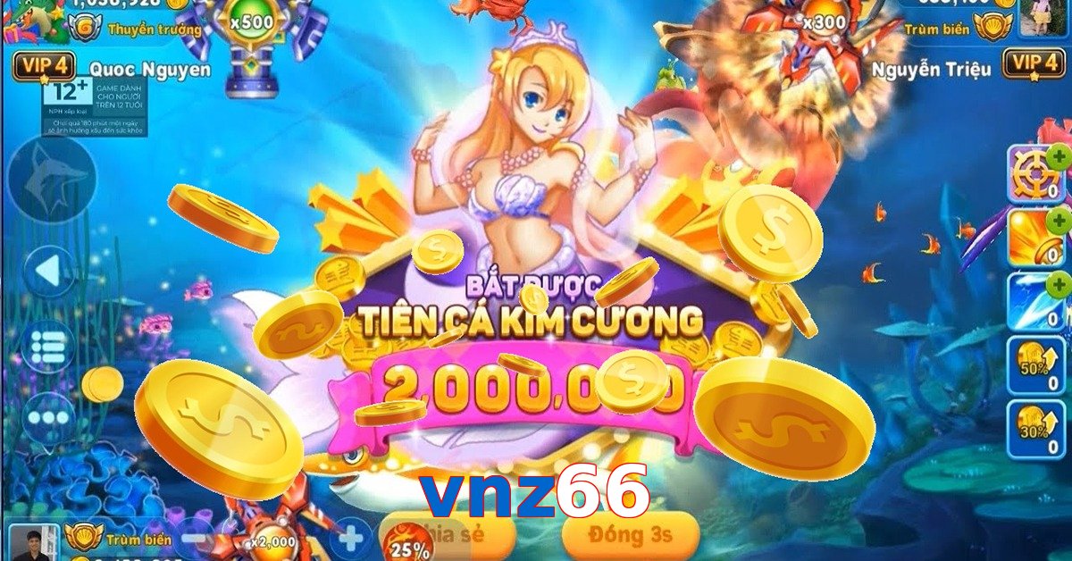 vnz66