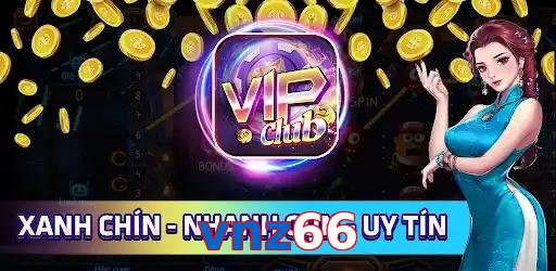 vnz66