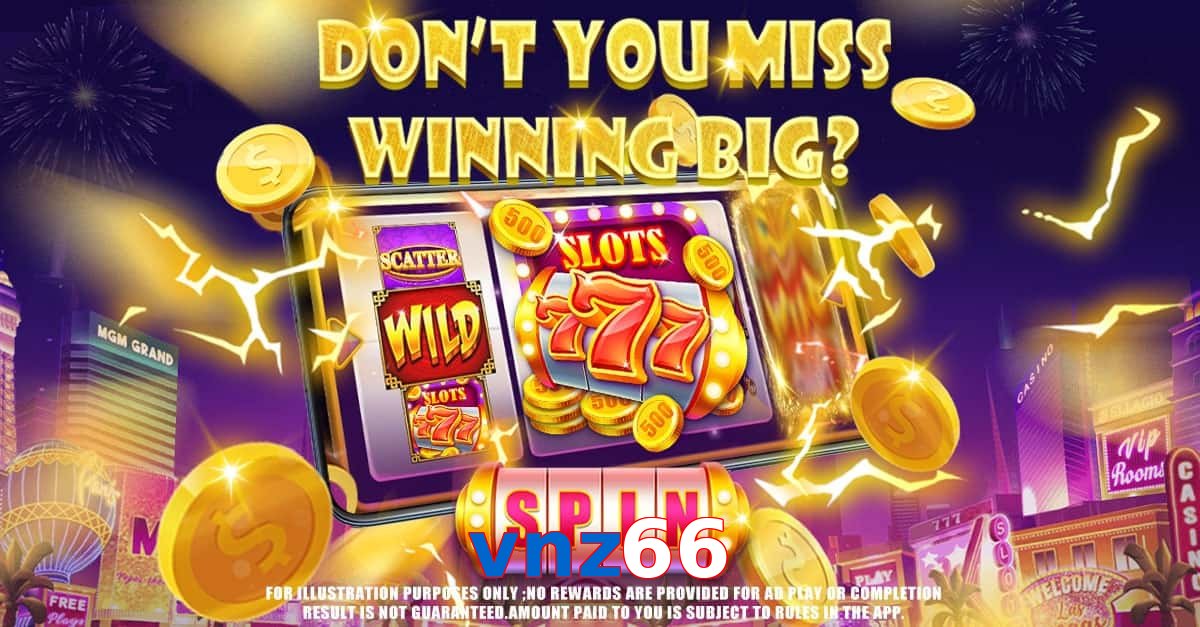 vnz66