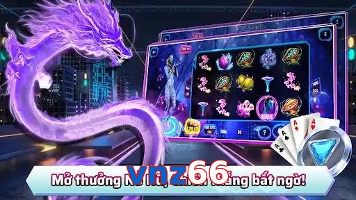 vnz66