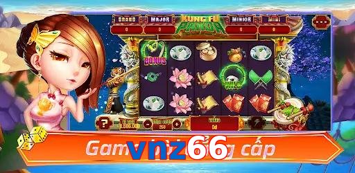 vnz66