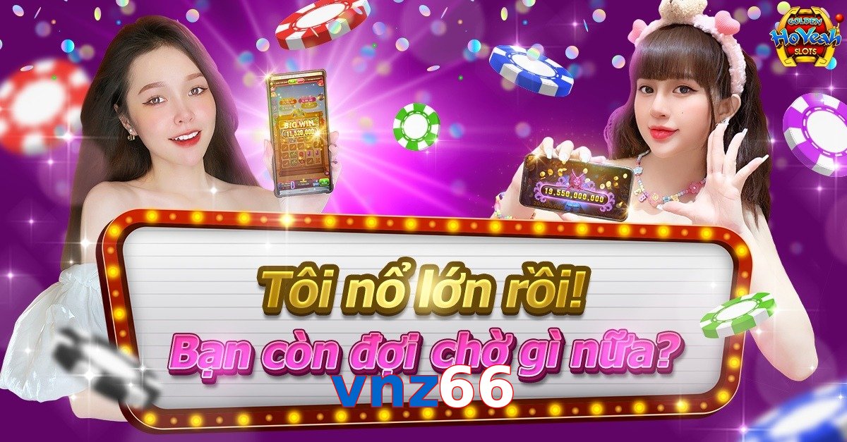 vnz66