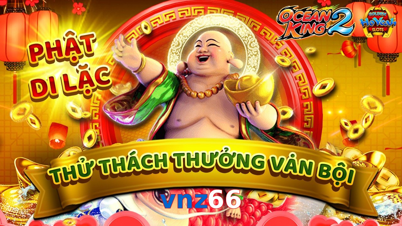 vnz66