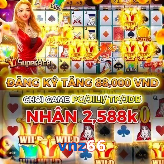 vnz66
